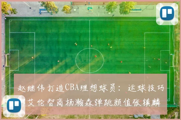 赵继伟打造CBA理想球员：运球技巧郭艾伦智商杨瀚森弹跳颜值张镇麟完美结合